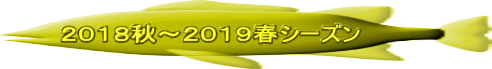 ２０１８秋～２０１９春シーズン